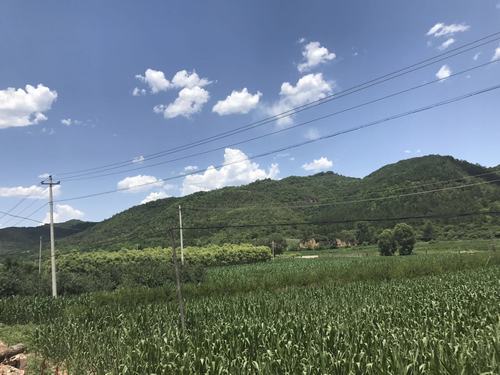 双龙的山沟