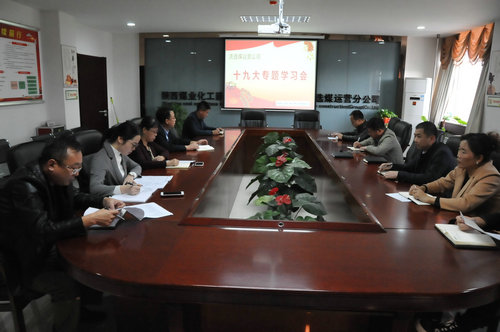 洗选煤运营公司认真学习传达十九大精神