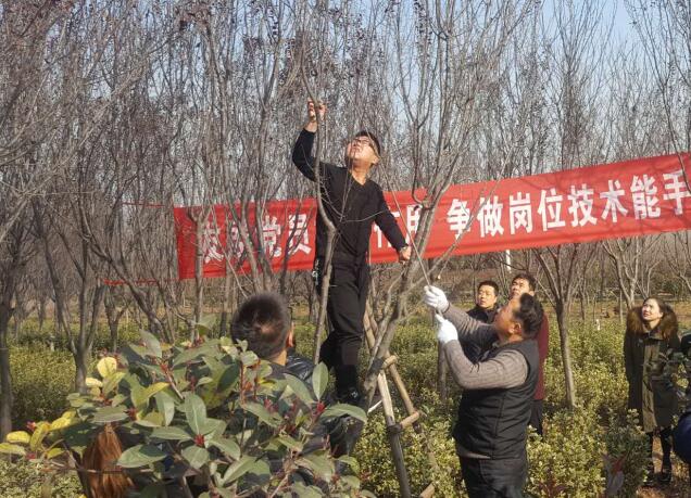 发挥党员先锋模范作用 上好园林技能必修课