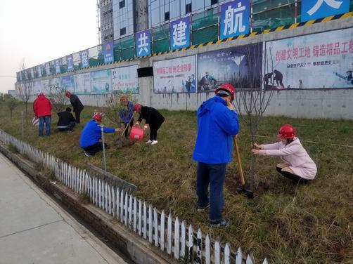 挥洒汗水建设一方热土 倾心尽力打造绿色澄合