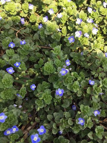 这个季节
