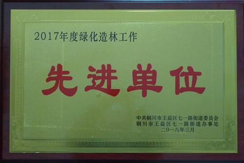机电安装公司荣获铜川市七一地区绿化造林先进单位荣誉称号