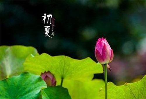 初夏随笔·诗二首