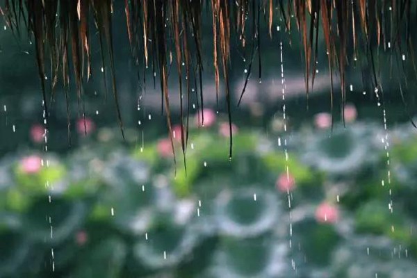 听雨