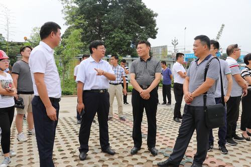渭南临渭区人大领导一行深入礼悦阁项目工地展开调研