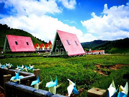关山夏憩