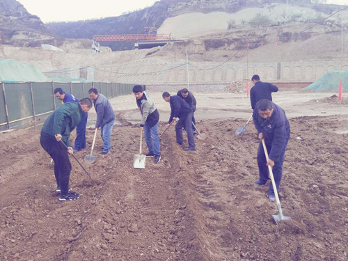 陕煤建设天工公司土建三部不负时光“务农”  丰富员工餐桌