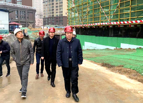 宁兴刚深入大秦置业公司龙湾水境项目检查指导工作