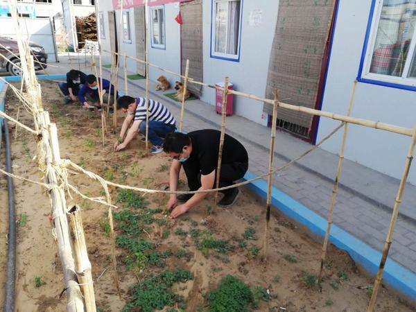 陕煤建设韩城分公司土建十项目部弘扬“五四”精神播种希望之田