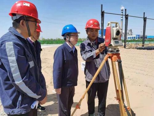 陕煤建设洗选煤运营公司佳县甜叶菊项目部：技术保质量 安全促发展