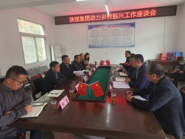 陕煤集团助力乡村振兴办主任徐国强莅临陕煤建设集团定点帮扶村调研指导工作