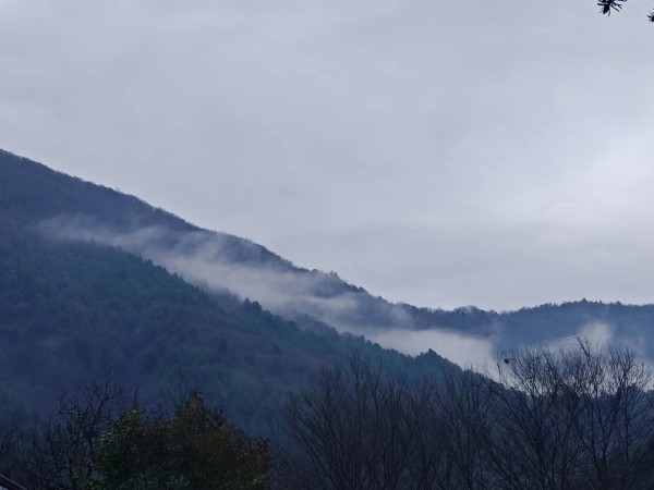 雾绕木王山
