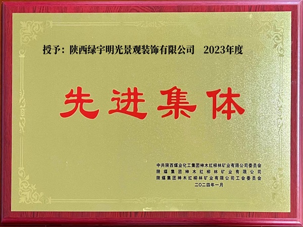 陕煤建设绿宇公司:喜讯!捷报频传 喜讯不断