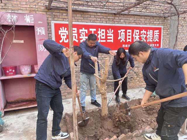 陕煤建设韩城分公司土建四项目部：植此青绿 不负春光