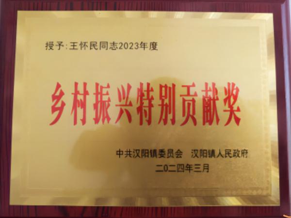 陕煤建设驻村工作队获得汉阴县汉阳镇“乡村振兴特别贡献奖”