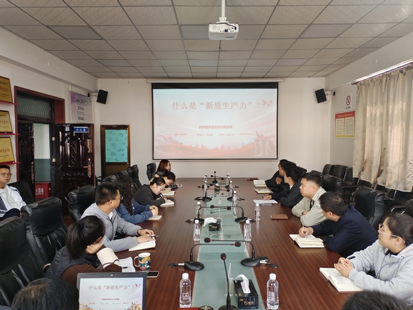 陕煤建设澄合分公司“新质生产力”专题党课引热议