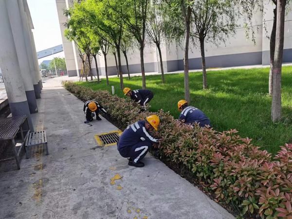 陕煤建设洗选煤运营公司神渭蒲城运营项目部：逐”绿”而行 向”绿”而兴！厂区绿化在行动