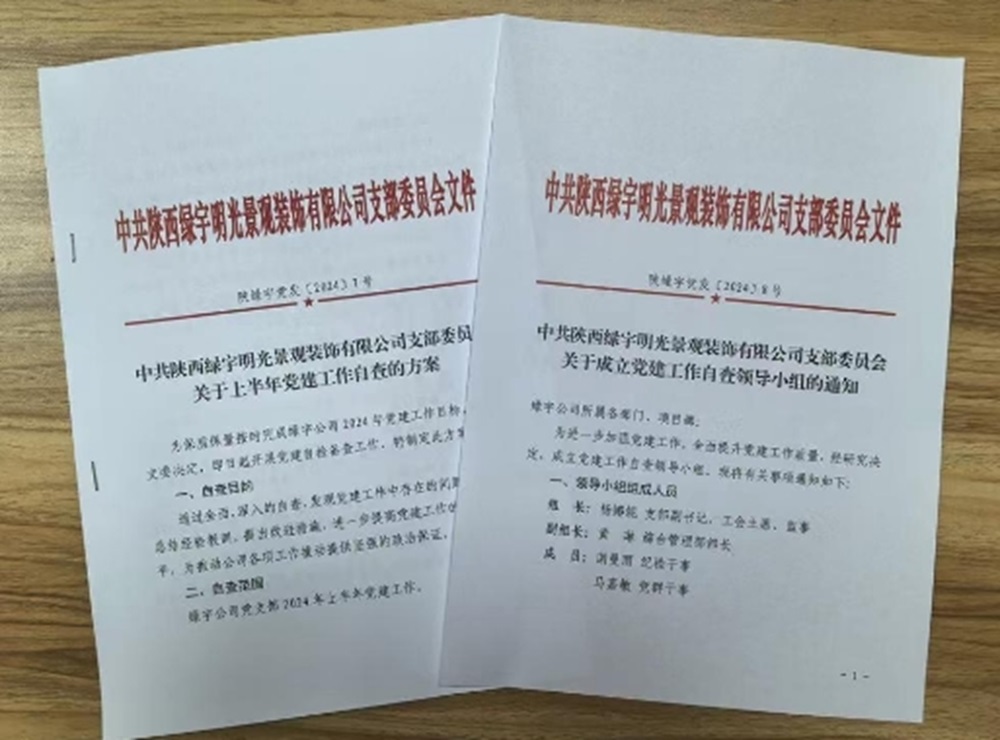 自我审视 党建先行
