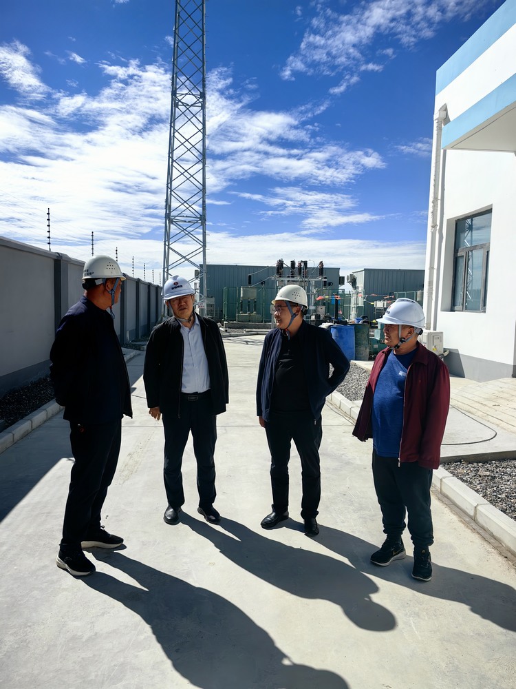 刘保江一行深入天工公司青海西台秦川光伏电站检查指导工作