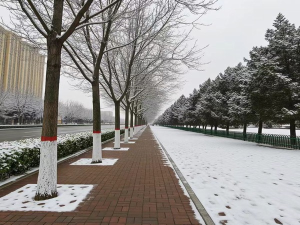 惊蛰雪笺