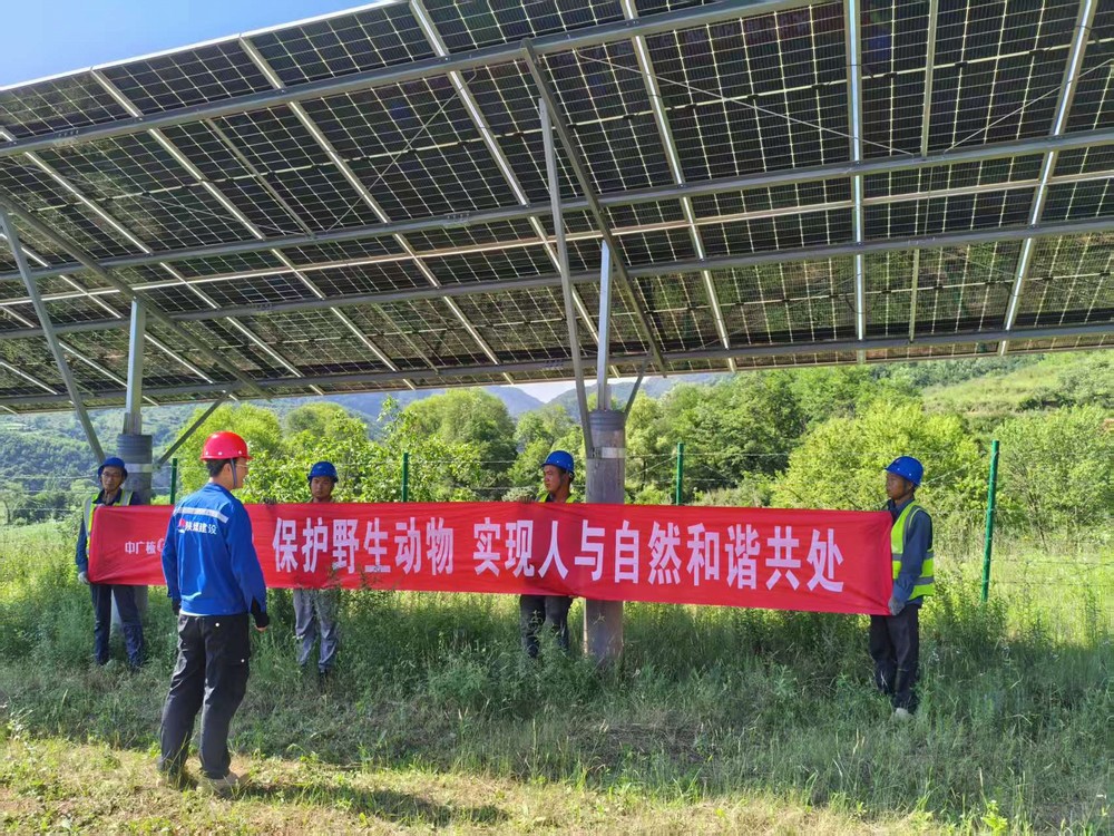 陕煤建设西北分公司机电安装项目部:为野生动物撑起“生态保护伞”