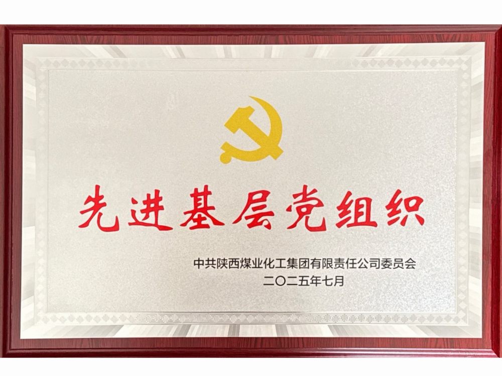 党建领航结硕果 实干担当谱新篇