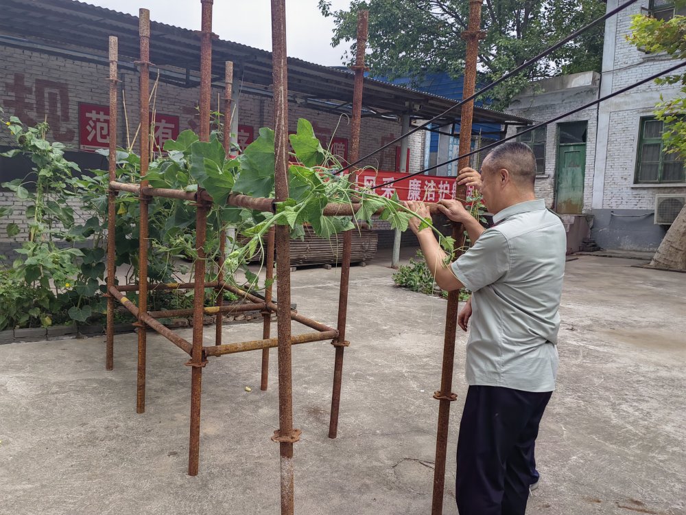 平凡坚守,织就的那些暖心缘