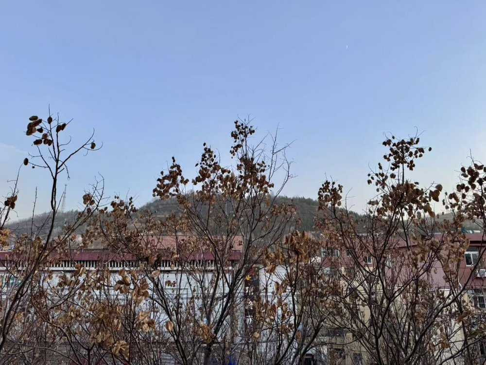 秋意渐浓时，回望来时路