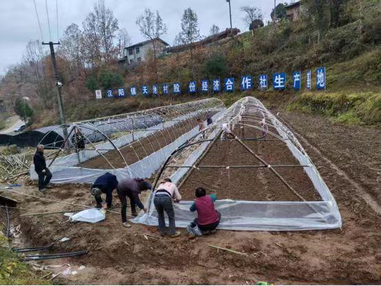 陕煤建设定点帮扶村:以“五化”实践助力乡村全面振兴