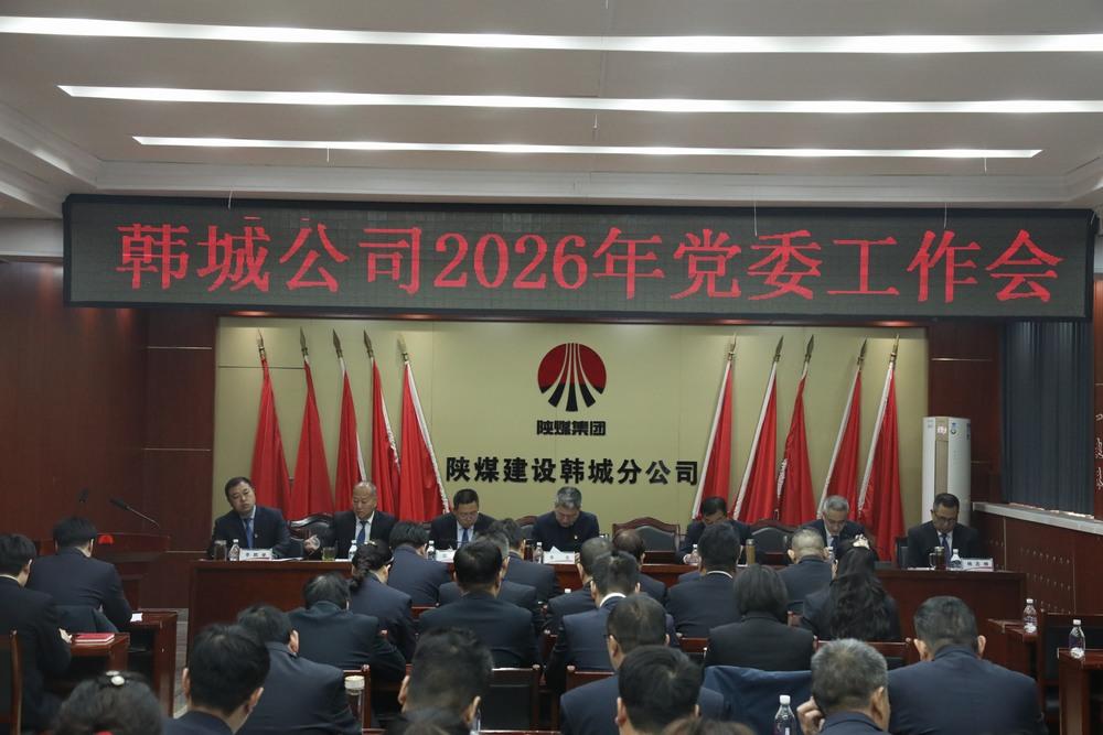 党建领航聚伟力  实干笃行启新程