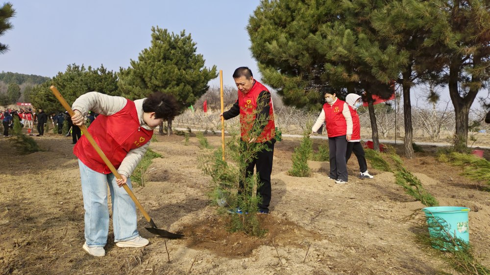 陕煤建设澄合分公司：企地同心植新绿