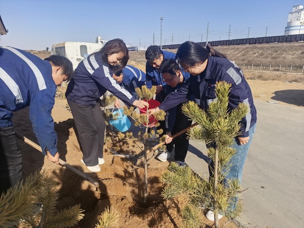 陕煤建设洗选煤运营公司：植一抹“新绿” 栽一腔“初心”