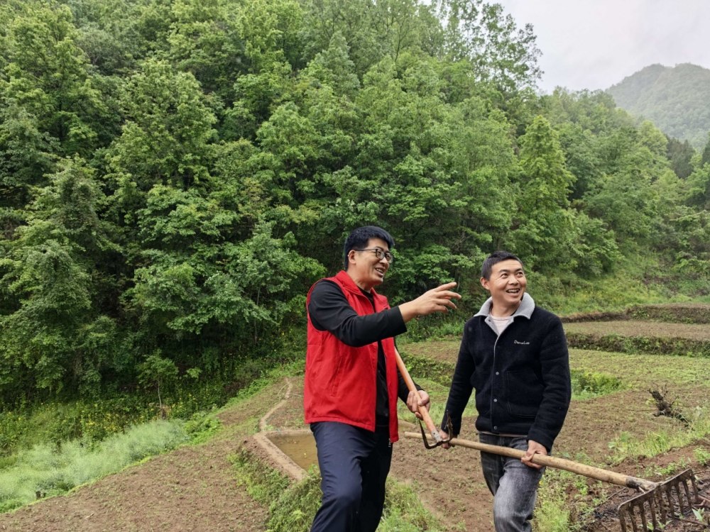 雨生百谷,情满山村